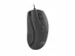 Natec HOOPOE 2 1600 DPI Office Optick 1 600 DPI Wired USB Black